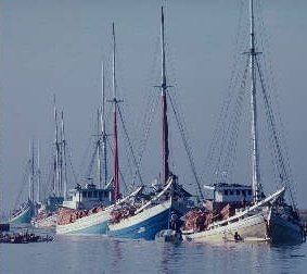 Mono'Albero-visserschepen van de WMC